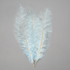 Страусиное перо 55 см светло-голубой (8501-001/light-blue)