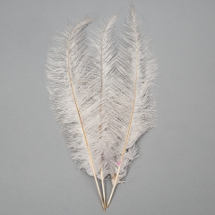 Страусиное перо 55 см светло-серый (8501-001/light-gray)