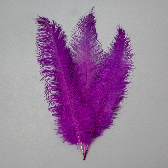 Страусине перо 55 см фіолетовий (8501-001/purple)