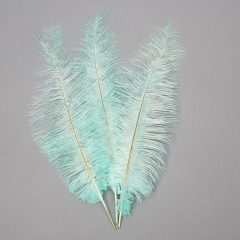 Страусиное перо 55 см бирюзовй (8501-001/turguoise)