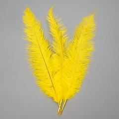 Страусиное перо 55 см (8501-001/yellow)