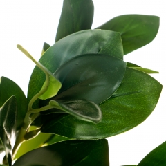 Ветвь Фикуса (8001-010)