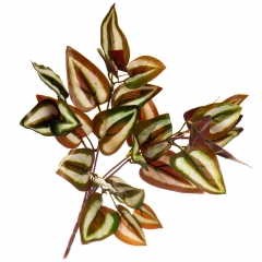 Ветка Зебрины (8001-014)