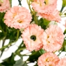 Квітковий букет "Персиковий" (8023-002/peach)