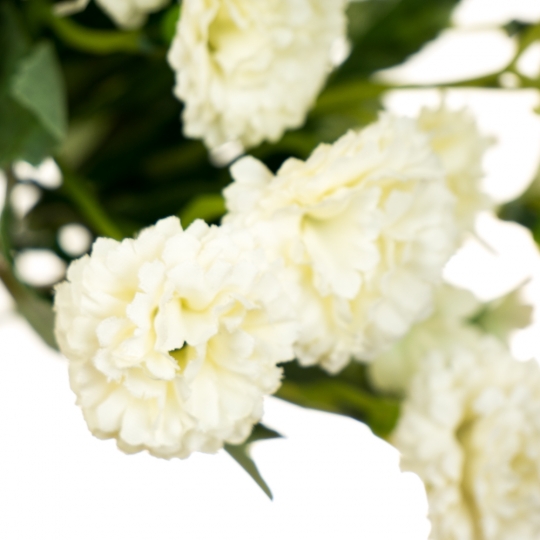 Квітковий букет "Білосніжний" (8023-002/white)