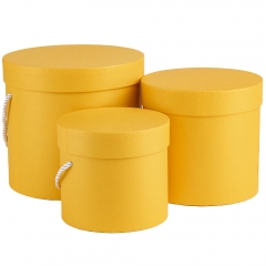 Набор из 3 коробок "Солнечные чудеса" (00BR-8944-009)