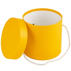 Набор из 3 коробок "Солнечные чудеса" (00BR-8944-009)