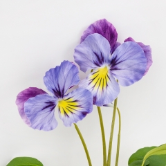 Братки штучні, фіолетово-сині, 30 см (2028-024/purple-blue)