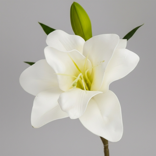 Лілія штучна, біла, 75 см (2028-028/white)