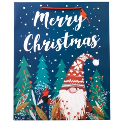 Подарочный пакет "Рождественские гномы", 26*32 см. * Рандомный выбор дизайна. (9166-005)