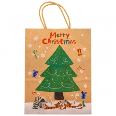 Подарочный пакет "Подарки от Санты", 21*27 см. * Рандомный выбор дизайна. (9172-008)