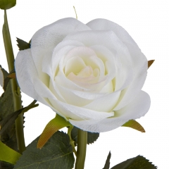 Букет роз, белый (8921-039)