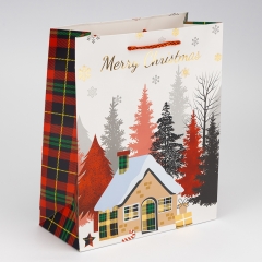 Подарочный пакет "Рождественские подарки", 26*32 см * Рандомный выбор дизайна (9263-008)