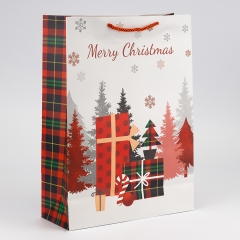 Подарочный пакет "Рождественские подарки", 31*42 см * Рандомный выбор дизайна (9263-009)