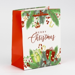 Подарочный пакет "Рождественская радость", 18*23 см * Рандомный выбор дизайна (9263-011)