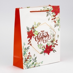 Подарочный пакет "Рождественская радость", 26*32 см * Рандомный выбор дизайна (9263-012)