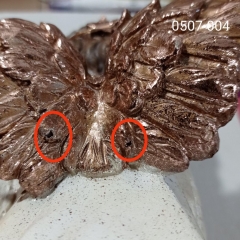 УЦІНКА Статуетка з підсвіткою "Біла Голубка", 21 см (Потертість,дефект лиття,тріщини,отвори) (00BR-0507-004)