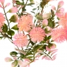 Букет Айстри, рожевий (8723-202)