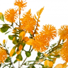 Букет Астры, оранжевый (8723-203)