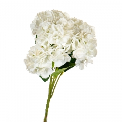Букет "Гортензія біла" (8103-006)