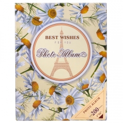 Фотоальбом "Каникулы в Париже", 100 фото * Рандомный выбор дизайна (9135-007)