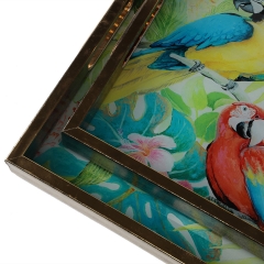 Набір підносів "Тропічні папуги" (8913-003)