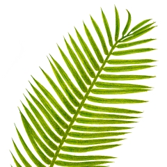 Декоративная веточка (8412-032)