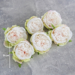 Головка пиона, розово-зеленая, 9 см (8503-001/1)