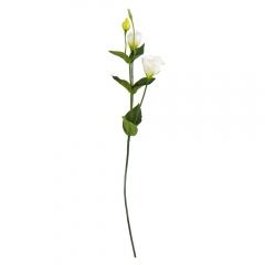 Еустома "Айлін", біла, 67 см (9160-049)