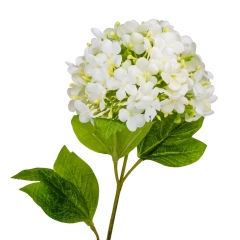 Гортензия "Аура", белая, 80 см (9160-054)