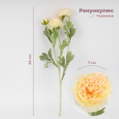 Искусственный ранункулюс с 3 бутонами, кремовый, 50 см (9259-134)
