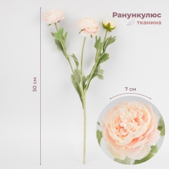 Искусственный ранункулюс с 3 бутонами, пудровый, 50 см (9259-136)