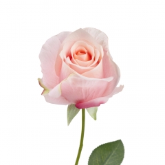 Латексная роза "Шарлотта", розовая, 65 см (9213-029)