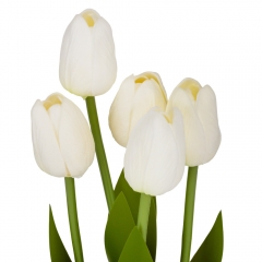 Букет тюльпанов "Рапсодия", кремовый, 25,5 см (9129-013)
