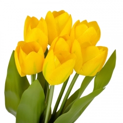 Букет тюльпанов "Красочность", желтый, 40 см (9129-022)