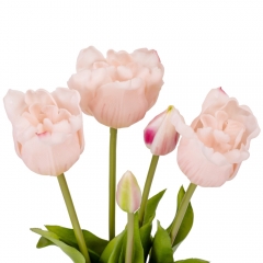 Букет тюльпанов "Симфония", кремовый, 44 см (9129-025)