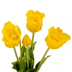 Букет тюльпанов "Симфония", желтый, 44 см (9129-027)