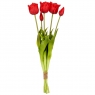 Букет тюльпанів "Симфонія", червоний, 44 см (9129-028)