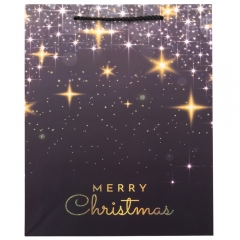 Подарочный пакет "Merry Christmas", 26*32 см * Рандомный выбор дизайна (9165-008)