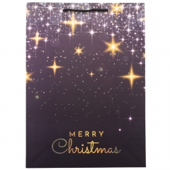 Подарочный пакет "Merry Christmas", 30*41,5 см * Рандомный выбор дизайна (9165-009)