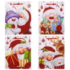 Подарочный пакет "Подарок от Санты", 18*23 см * Рандомный выбор дизайна (9165-013)