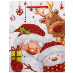 Подарочный пакет "Подарок от Санты", 18*23 см * Рандомный выбор дизайна (9165-013)