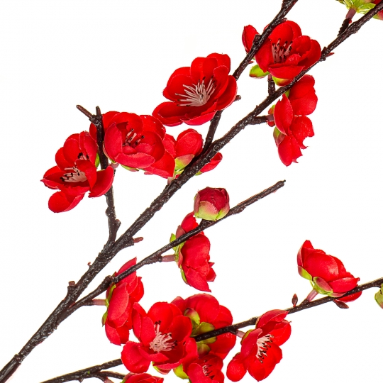 Гілка квітучої сливи, червона, 115 см (8414-012)