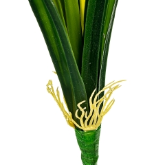Листья орхидеи 42 см (8414-029)
