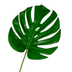 Лист мостеры 82 см (8414-026)