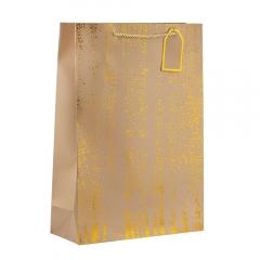 Подарочный пакет "Элегантный штрих", 44*31 см * Рандомный выбор дизайна (9208-011)