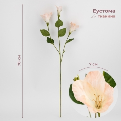Еустома штучна, кремова, 70 см (2028-015/champagne)