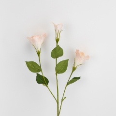 Еустома штучна, кремова, 70 см (2028-015/champagne)