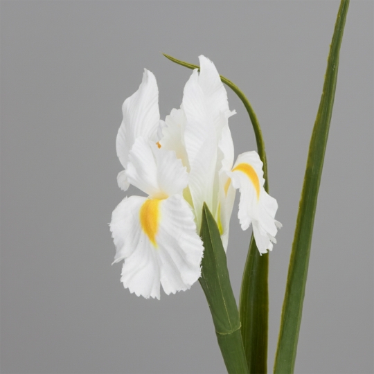 Штучний ірис, білий, 70 см (2028-017/white)