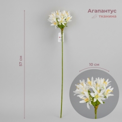 Агапантус штучний, білий, 57 см (2028-018/white)